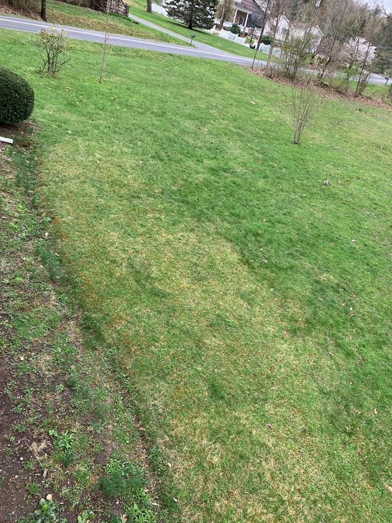 Bellemeade - Residential