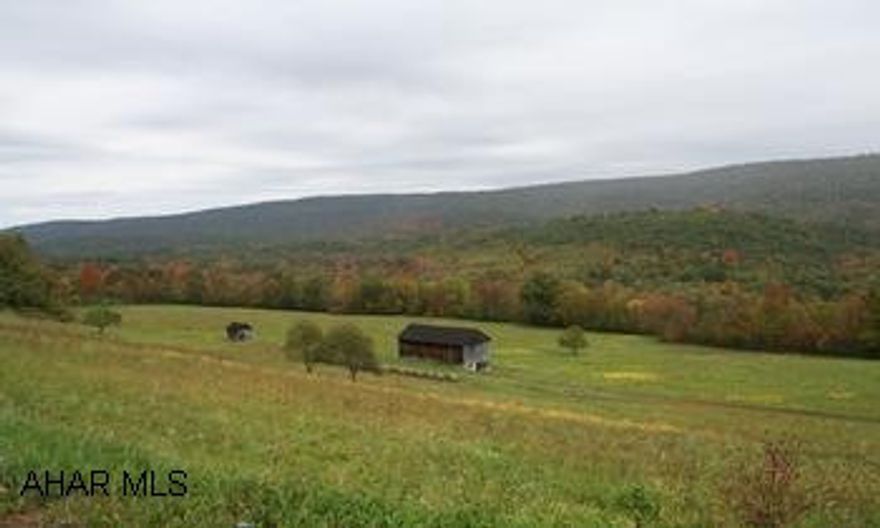 Prime building location! Open fields and woods, 20'x46' barn, garage and 12'x24' log out-building on property. Spectacular views of the mountains. Shobers Run trout stream runs through the property. JUST 2 MILES SOUTH OF BEDRORD SPRINGS RESORT