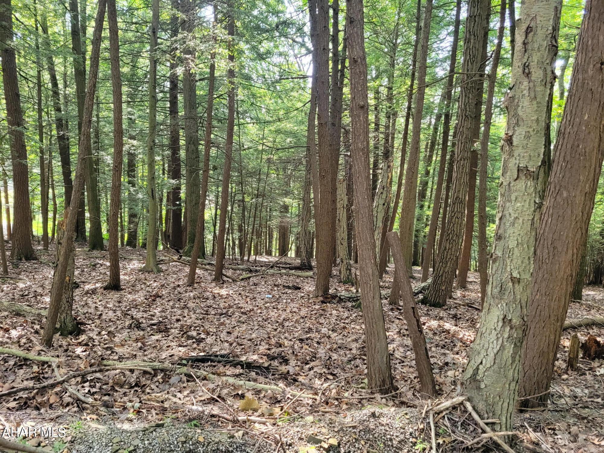 Glendale Yearound - Land