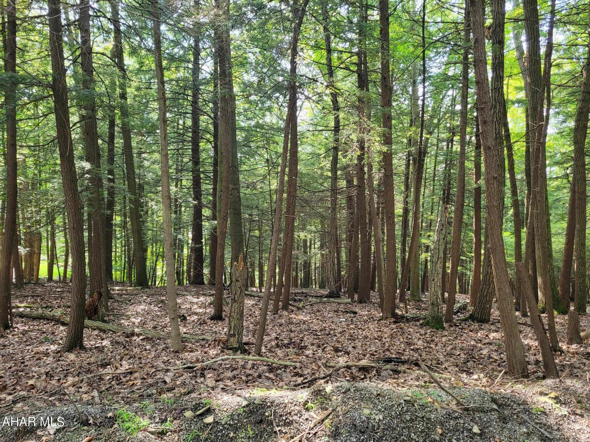 Glendale Yearound - Land