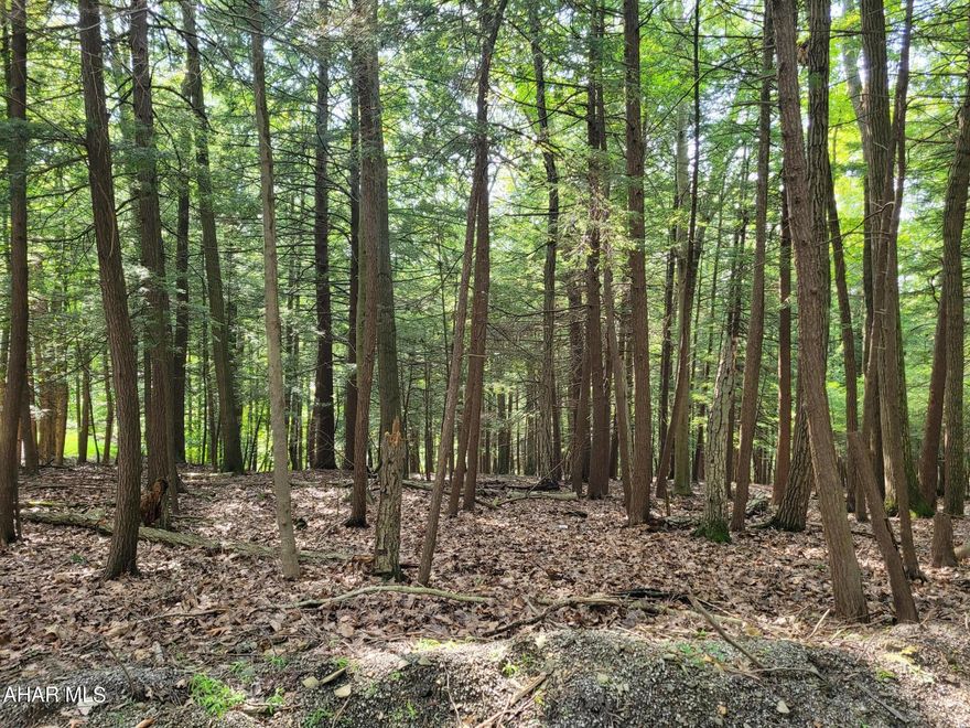 Wooded building lot located in a cul-de-sac and not far from the swimming pool and clubhouse.  Public water and sewer available.