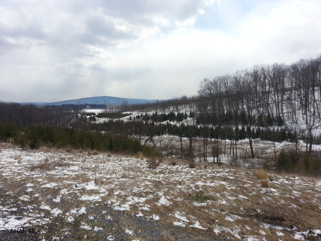 Carson Valley - Land