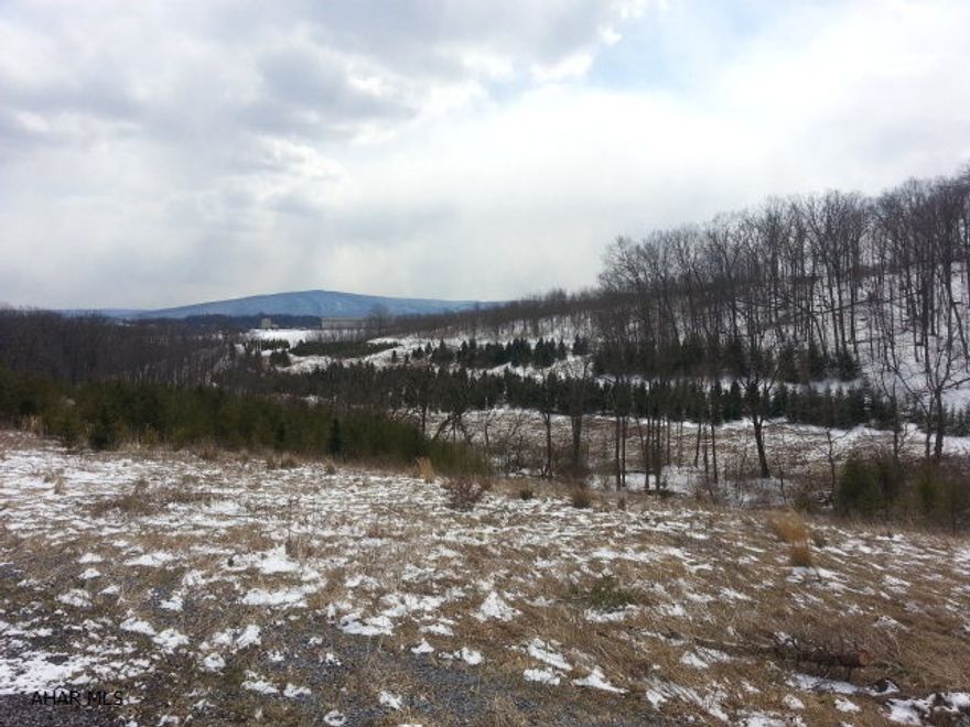 18.42 Acres in Hollidaysburg SD.