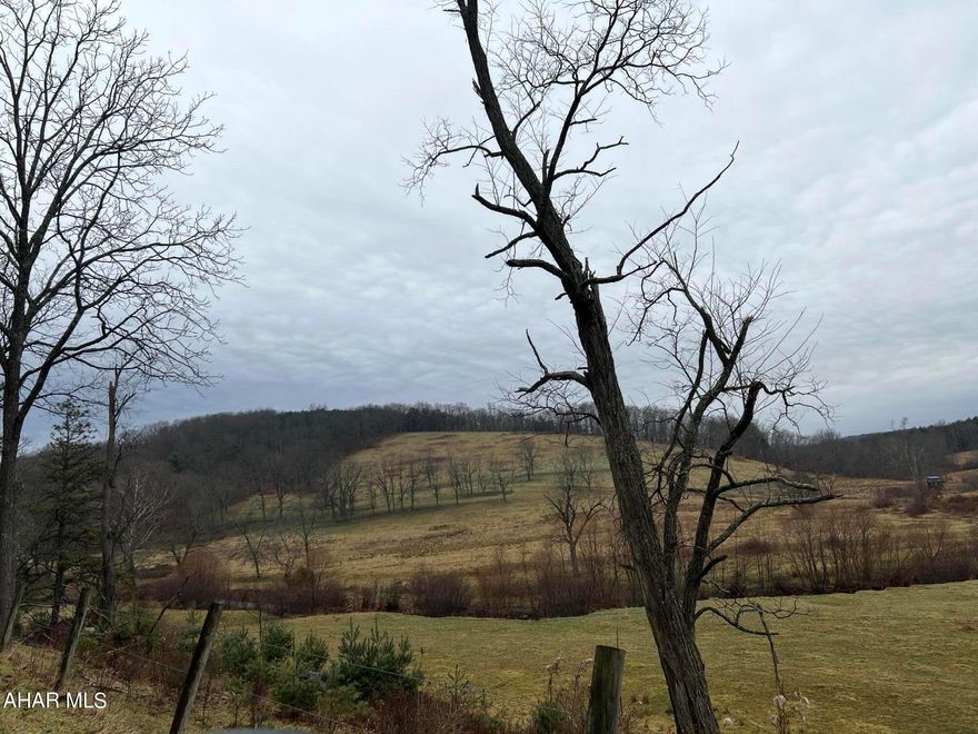 58 + acres of peaceful paradise.  Great hunting area.  Great spot for a hunting cabin or your ''home sweet home''.  Shaffer Creek runs through the property (small portion in a flood plane).  Some flat land, some area hilly.   There are some fields being farmed and used for pasture area via lease but that can be terminated if new owners wish to do so.  Property in 'Clean and Green'