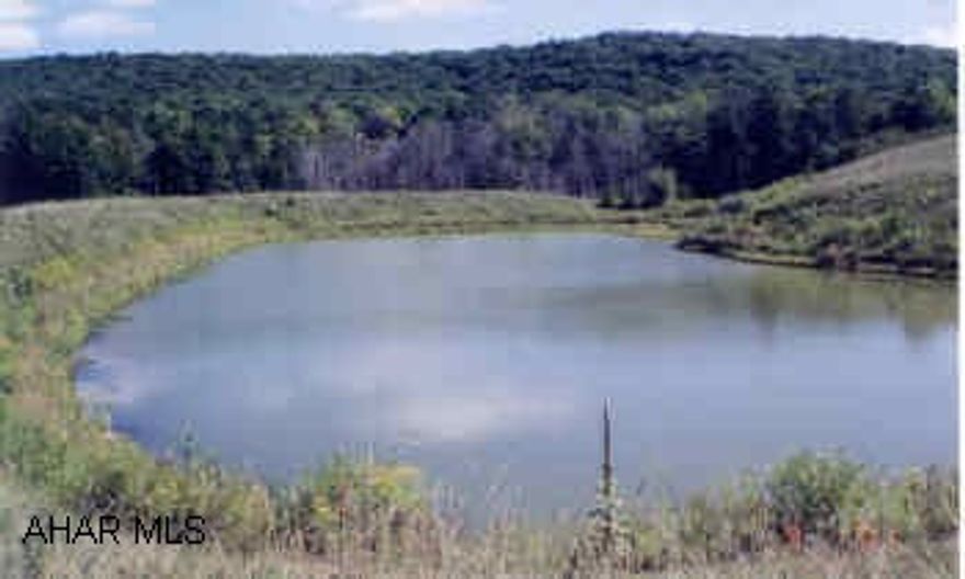 245 +/- vacant acres partially wooded, 2 streams, 3 ponds, Land borders Glendale Year Round, near beautiful Prince Gallitzin State Park Lake and  State Games Lands. 245 +/- vacant acres  partially wooded with open fields,  Dutch Run & Kibler Run streams flow through property, plus 1 lg. pond and 2 small ponds.   Land borders Glendale Year Round and is near beautiful Prince Gallitzin State Park for great fishing, boating, swimming, hiking & picnicing.   Near State game lands.   Parcel # 68-01-102 also included.  White Twsp./ Cambria Co. Beaver Valley area.