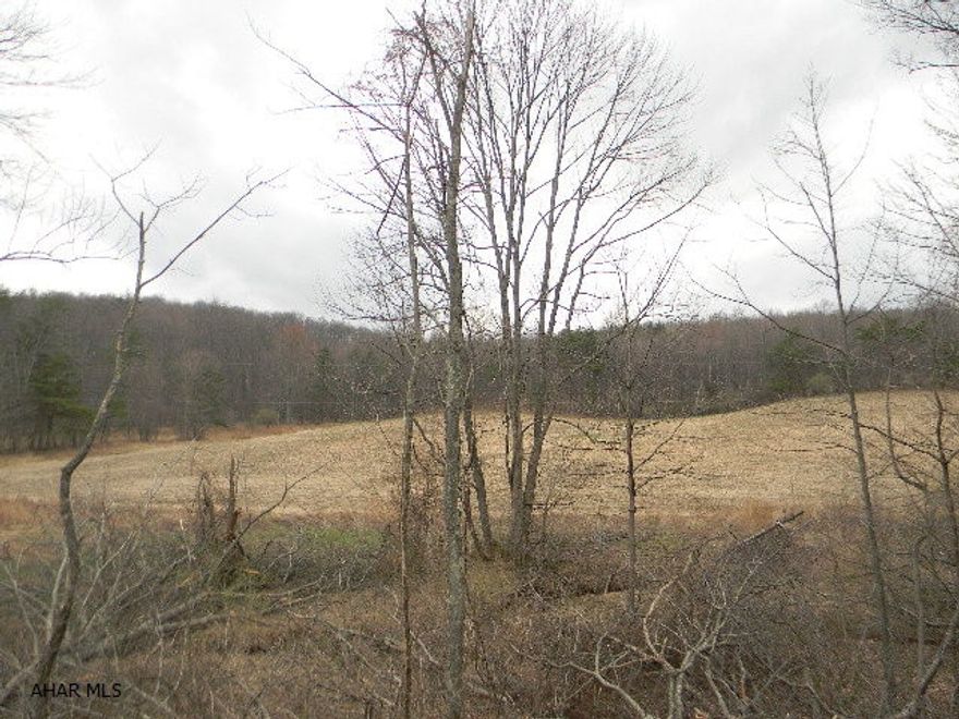 Mostly wooded parcel containing 133.467 acres. Excellent hunting & close to state lands. Located in beautiful Southern Bedford County, close to Maryland & major roads. Over 2,500 ft. of public road frontage. Nice building site or recreational parcel.