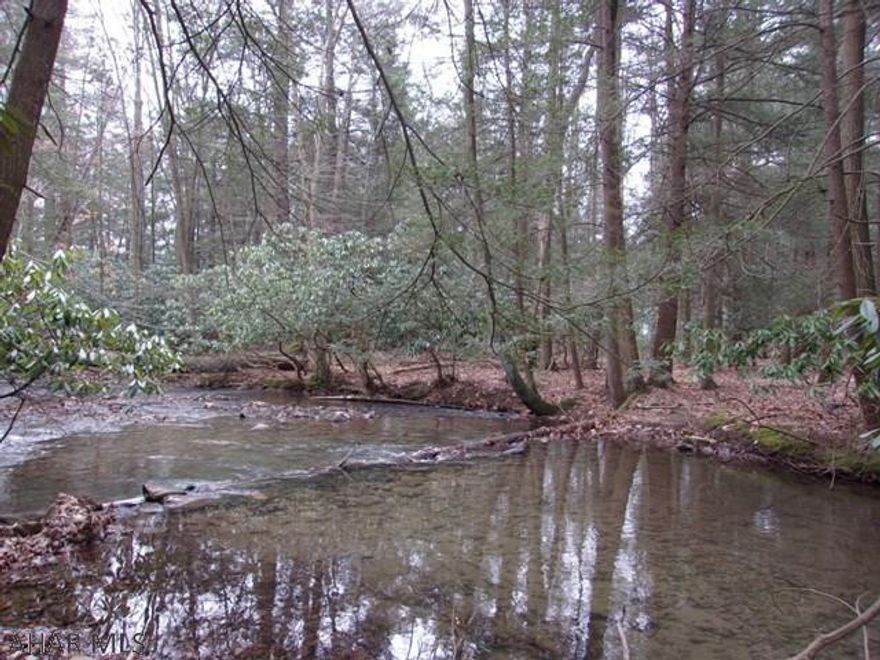 PRICE REDUCED!!!!!!!!! 7.88 acres of vacant, wooded ground adjacent to the Tyrone Sportsmen Association in Snyder Township.  Good frontage on Vanscoyoc Hollow Road.  Possible building site in the TASD - will need perc test, water & septic.  Beautiful stream is located on site.  Portion of property is located in a flood zone.  Price reduction to offset the cost of perc testing and/or elevation survey!!!!!!!