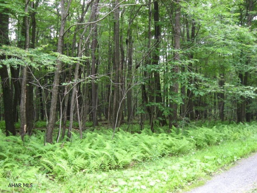 Beautiful and quiet describes this wooded 5.01 acre parcel with a seasonal stream located in the Folmont Development.  This lot has year round access and nearby to electric and phone service hookups.  Would make a great site for your getaway or permanent home away from it all.  Located just minutes from historic Fort Dewart and Shawnee State Park and Lake.  Restrictions apply.