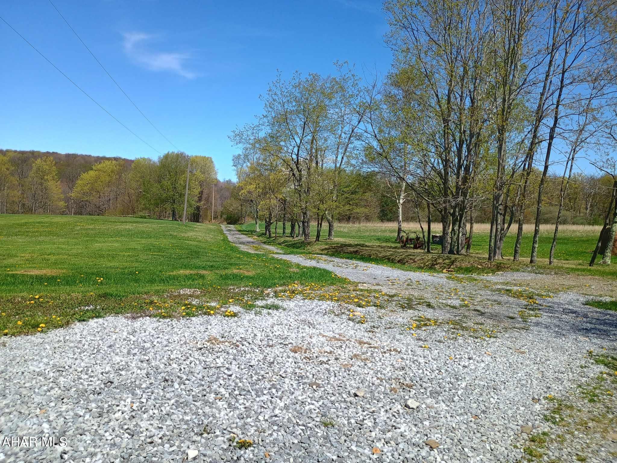 None - Residential Lease