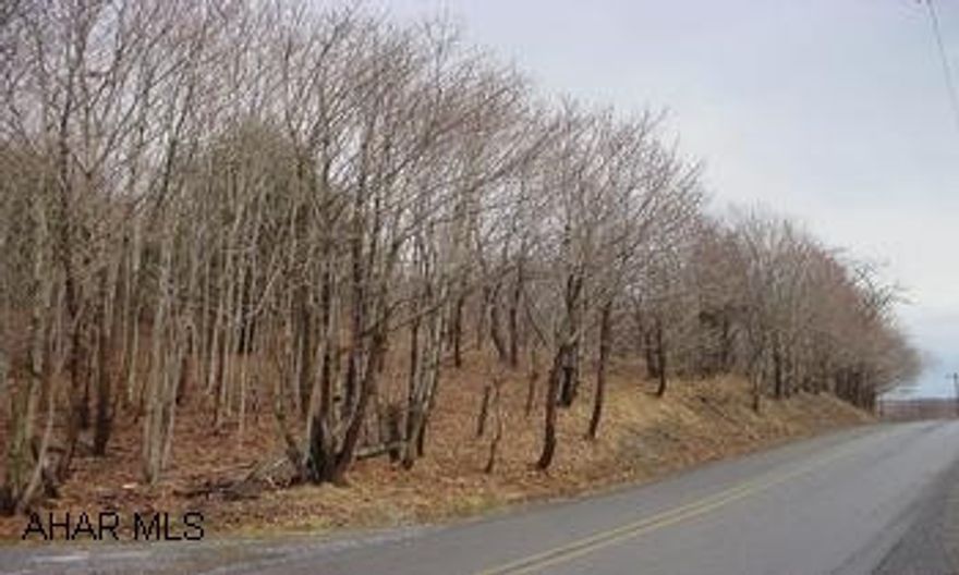 14.97 wooded acres with over 1000ft of road frontage.  Level building area on top of property with a natural spring. 14.97 wooded acres with over 1000ft of road frontage.  Level building area on top of property with a natural spring.Co-Listed with Jennifer Paul.  Call office to set-up Apt. at 814-623-1440 or Chris at 814-285-2533