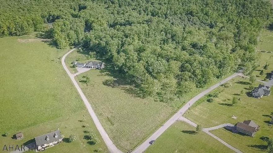 Beautiful 1.82 serene partially wooded acres off the beaten path located just outside of the quaint town of Warriors Mark.  Perfectly positioned halfway between State College & Altoona, approximately 30 miles in either direction making a relaxing commute.  Perc test has been completed, you can choose your builder & there are restrictive covenants in place to protect you as a homeowner.  The perfect site for your brand new home.  Located on the corner of Dry Hollow Rd & Wild Cherry Lane.