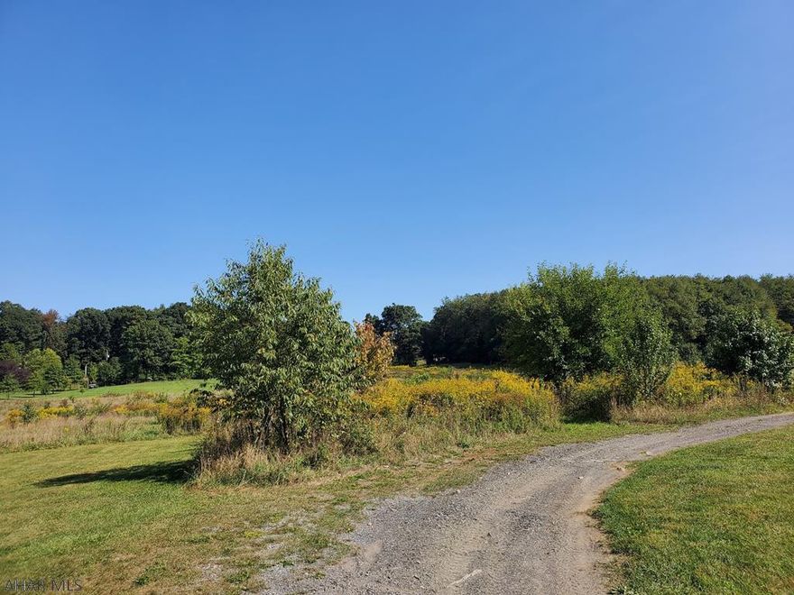 6.58 acres on a picaresque level lot in North Woodbury Twp. Perc and Sanitation are approved.