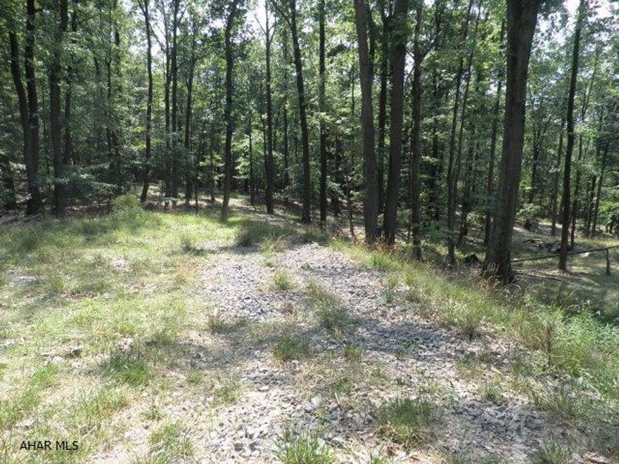 1.3 acres on a beautiful wooded lot in Bellemeade Estates.  Electric, Cable & Sewer are available.