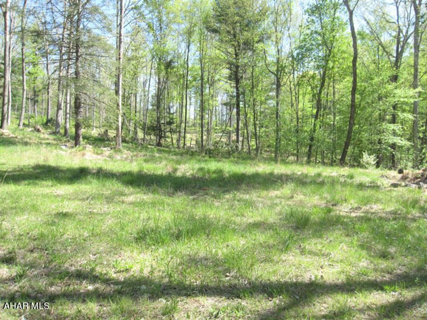 Private and Secluded! Topography will support possible single-family residence or seasonal camp /2nd home, with Pubic Electric runs across the western property boundary. Jackson Twp has not zoning, but soil log and perk test will be required to install an in-ground septic system. This property has reasonable proximity to State College and Penn State University, with 26+ miles of Lake Raystown recreation, boating, and fishing. The property's northeastern point touches 26,000 acres of Rothrock State Forest providing abundant hunting area and many marked hiking trails. Allan Seeger Natural area and portions of Stone Creek Stream are less and 4 miles providing both stocked and natural trout fishing. Bead Meadows and Tussey Mountain Ski Resort and Penn Roosevelt Park are also about six miles from property. This is a special property situated in an area with great area amenities. Similar properties in Jackson Township do not often become available.