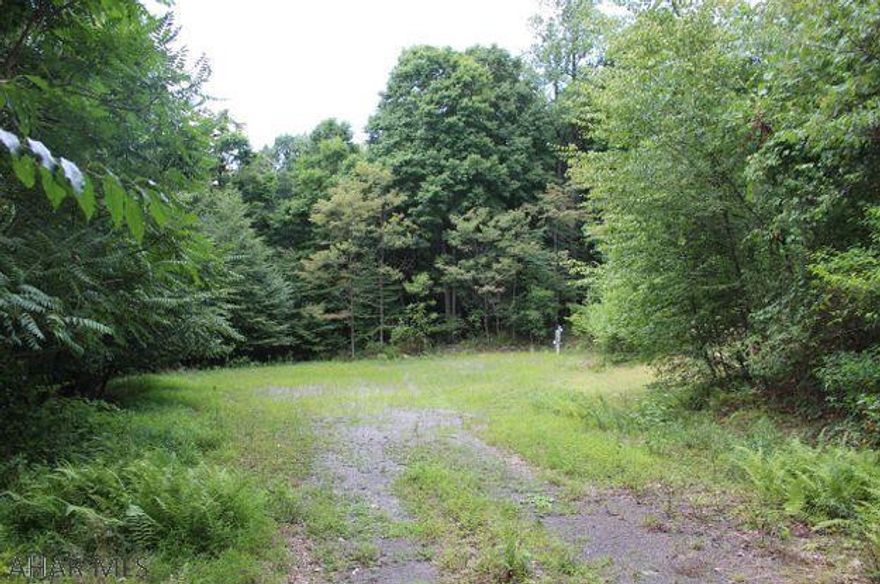 60.14wooded  acres off Quiet Loop Road, Blair County. Land had three electrical services in place. Private road access.