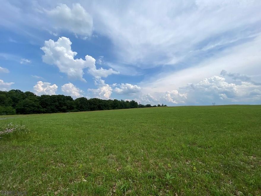 55.24 acres sitting atop Piney Ridge, close Raystown Lake. Parcel includes 5 building lots of 1.222 acres to 1.316 acres as well as two larger lots, one 21.869 acres and one 27.578 acres. Great opportunity for a developer. Perc tests on all the parcels except the 27 acre parcel, with the 21 acre piece approved for 42 campers. Great opportunity to build rental vacation cabins and a campground on the rear portion of the property. This could be a vacation paradise or a great place to build 5 permanent residences plus the two larger lots to rear of parcel. Convenient location with easy access to Huntingdon and Route 22. There is also a 1,400 feet well on property that could service the five building lots if developed by a developer. Call with inquiries.