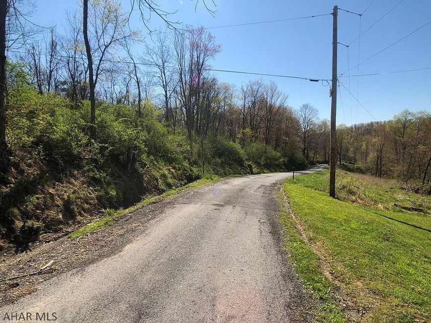 Seize this opportunity to own a beautiful and peaceful wooded building lot. 5 lots are currently available. Each lot has amazing views at the top of a gentle slope. All with perc tests on file for sand mound systems on or near potential building sites. Baughman Cemetery Road is a township maintained road. Each lot is over 10 acres and can remain in the clean and green program. Only 25 miles from both State College and Altoona they are ideally located for an easy commute on I-99. With wildlife abound the joy of nature and elbow room are within your grasp. Don't miss out!