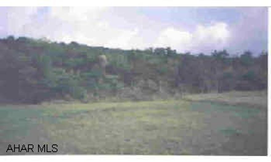 29 Acres of peace and tranquility with a stream. Many possible uses could be found whether it be private use or commercial. Some road frontage along Rt 30. The original Lincoln Highway runs through this property if your interested in history. 29 Acres of peace and tranquility with a stream. Many possible uses could be found whether it be private use or commercial. Some road frontage along Rt 30. The original Lincoln Highway runs through this property if your interested in history.  Suitable Use: Recreation/2nd home, Residential Mulit-Family, Residential Single Family, Subdevelopments