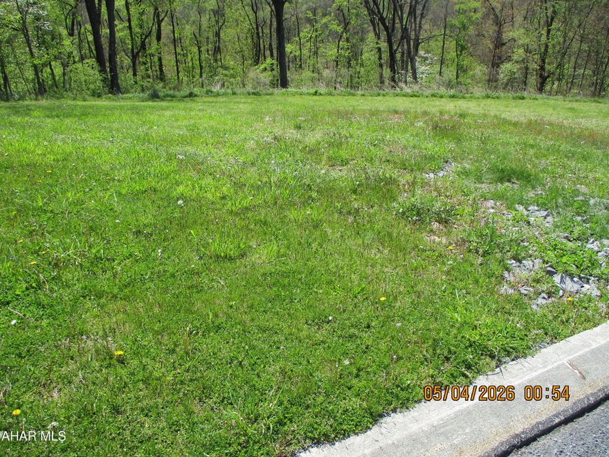 Almost 3 acres of land in the beautiful and private Castle Farms development in Logan Township.  Fully excavated and prepared for your new home, this property has access to natural gas, electricity, public sewer and telephone!   Buyer to drill a well.  Building approvals have been secured.   Spectacular view in all seasons of the year.  Contact agent today,  HOA.