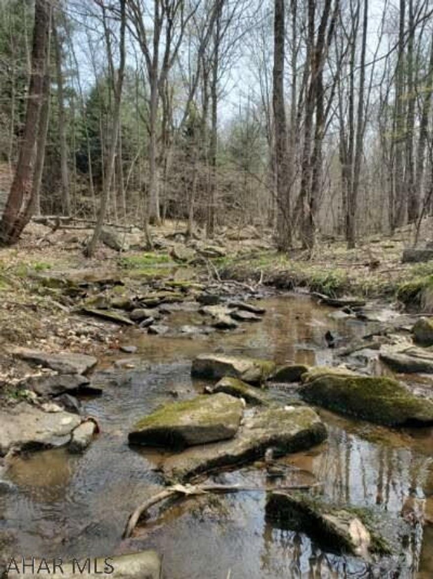 This is your chance to own 20.54 acres of flat land, bordering state game lands! Build your dream home or the perfect hunting camp. Enjoy the sound of the water flowing in the stream as you watch the wildlife nearby. Don't miss out!