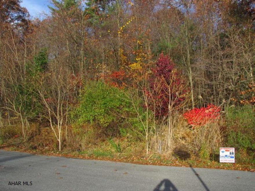 Wooded building lot of 3 wooded acres in Edgewood Acres Warriors Mark Twp. Community water, septic permit is already in place.