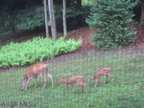 Glendale Yearound - Residential