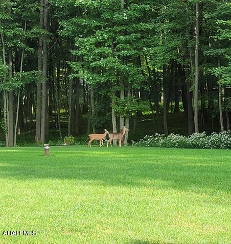 Warriors Mark - Residential