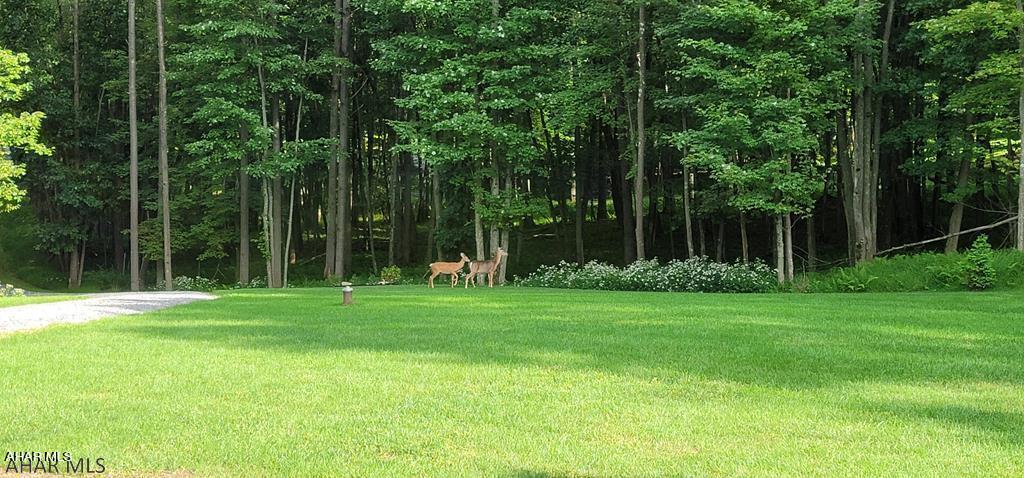 Warriors Mark - Residential