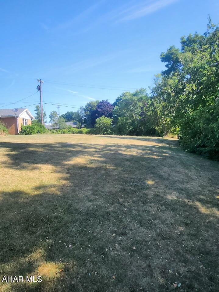 None - Residential Lease