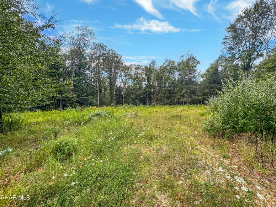 Discover your dream home on this private, meticulously cleared 1.5-acre gem nestled within the Central Cambria School Districts. With public water, sewer, and electric already available on-site, this lot offers convenience and ease. Situated on a tranquil dead-end private street, it guarantees the peace and privacy you desire. The property does have a right of way for legal access to the property. Don't miss out on this incredible opportunity—call today to obtain more information and make this idyllic property yours!