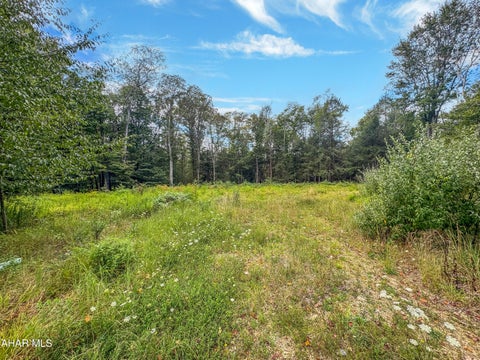 Photo for 0 Harding Avenue