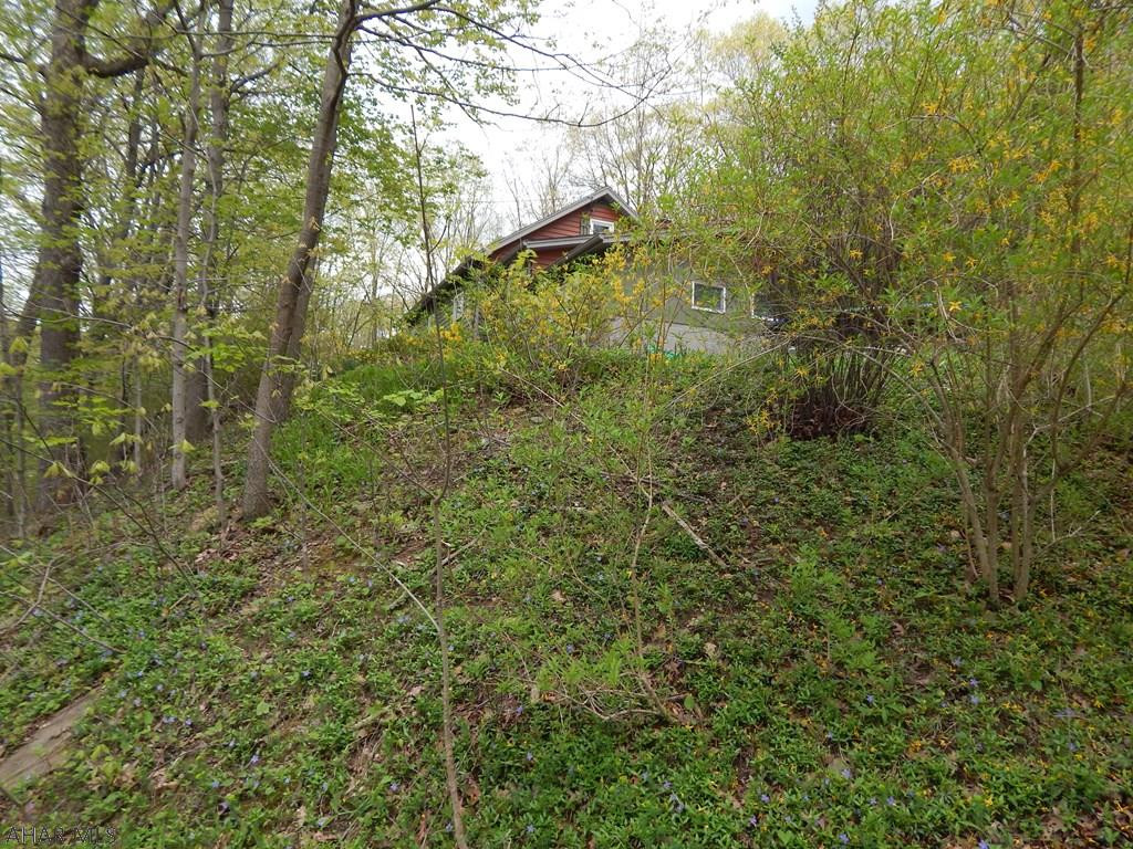 Juniata Gap - Residential