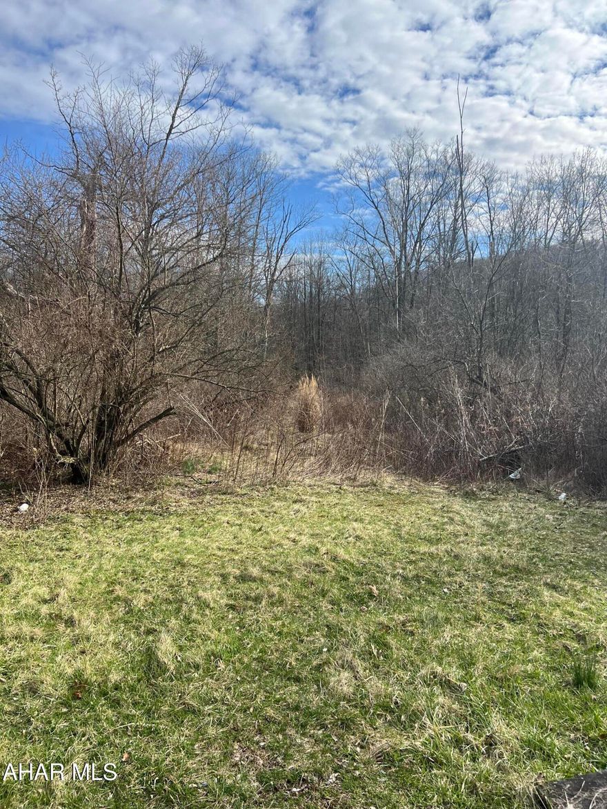 Approximately 1 acre of land on Lower Riggles Gap Road. Property is wooded and flat. Small stream runs through the back of the property. Would be a great parcel of land for recreational use. Antis Township no zoning.