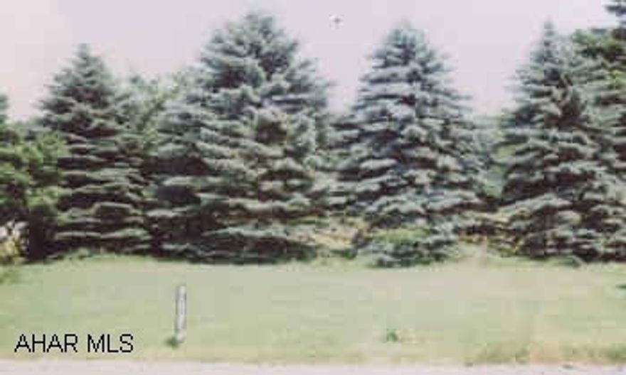 1.5 ACRE PLOT ON LOWER BRUSH MNT. ROAD. SEWER AND GAS AT STREET, WATER CLOSEBY FROM SEVERAL DIRECTIONS. 1.5 ACRE PLOT ON LOWER BRUSH MNT. ROAD. SEWER AND GAS AT STREET, WATER CLOSEBY FROM SEVERAL DIRECTIONS.