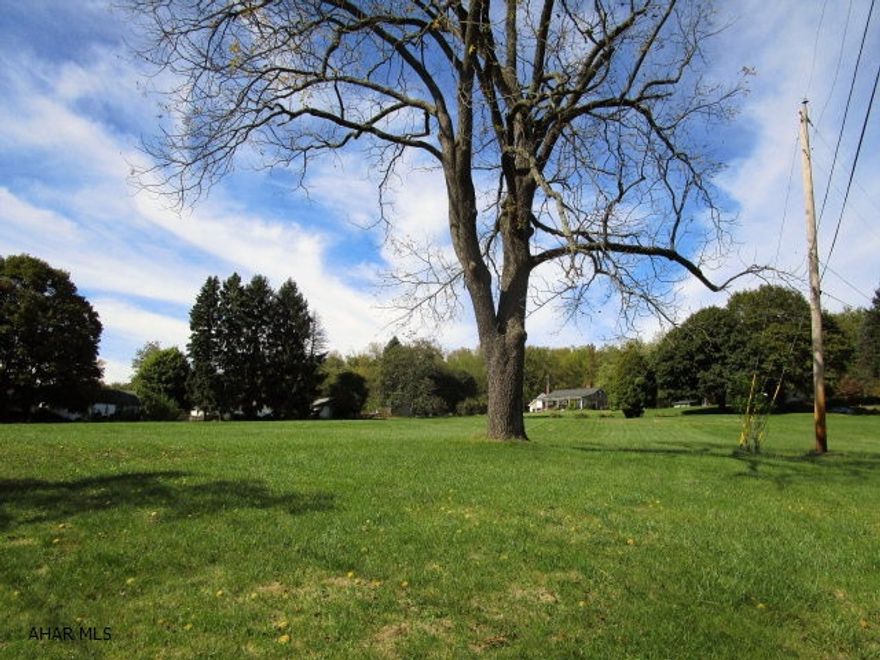 This land has endless possibilities. 2.341 acre parcel would be ideal for townhouses, multi-family dwellings, single-family dwellings, storage units, professional offices or many more uses. Easy access to I-99, State Route 30, Business Route 220 and downtown Bedford. Public sewer and electric on site and public water and natural gas available. It offers level to very gently sloping topography and approximately 510' of public road frontage.