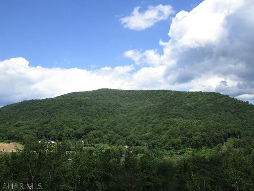 Hard to find large acreage tract containing 183.498 acres.  Land is all wooded, perfect for hiking, atv riding or a getaway cabin.  This is a nice recreational parcel, owner has hunted deer, turkey, bear and other game for many years on this site.  Convenient, accessible location just off State Route 30.