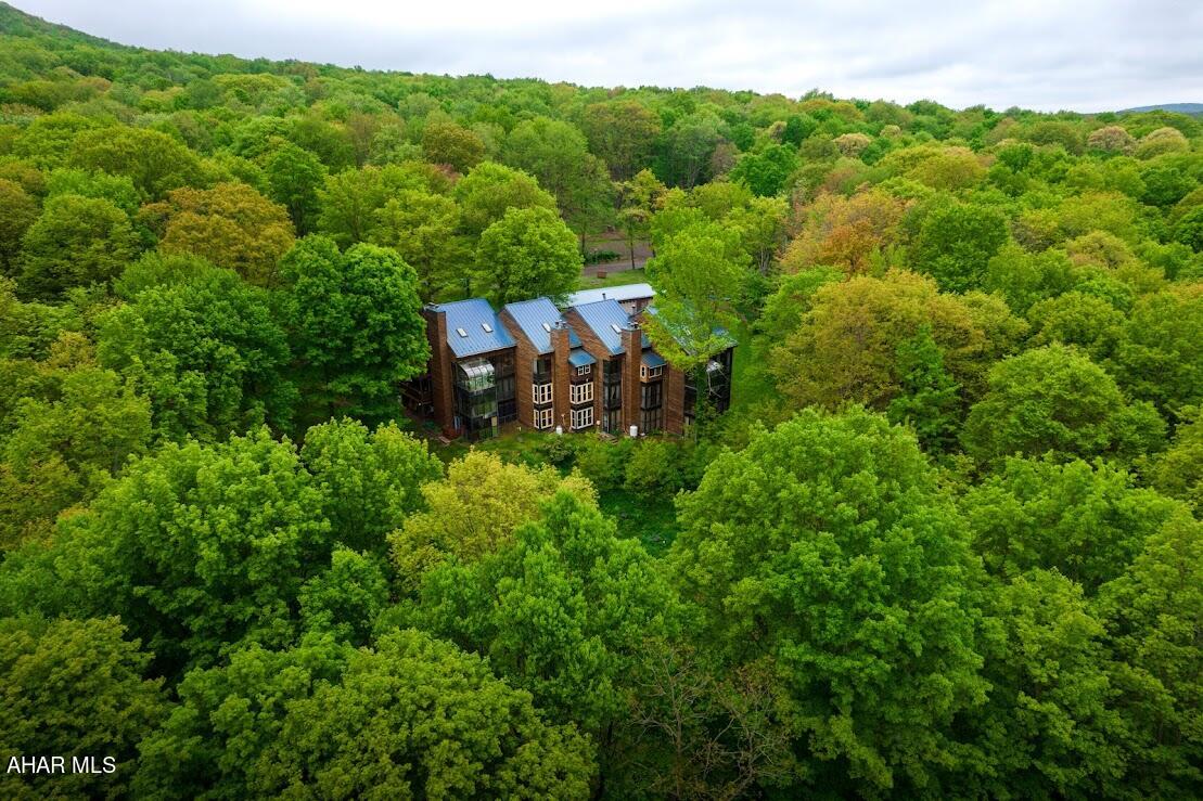 Blue Knob - Residential