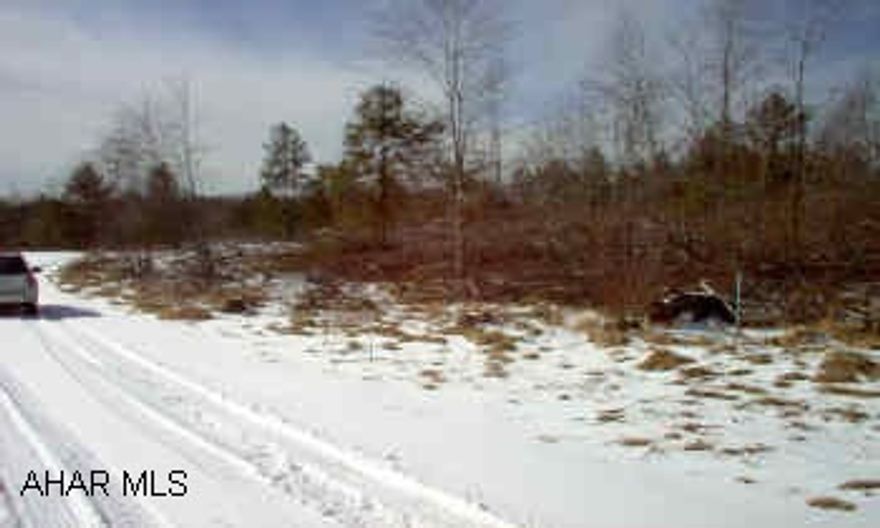 Flat, wooded, surveyed, perked, electric.  Located in Blacklick Township, Cambria County. 22 W to Ebensburg to 422 W.  5 miles on 422W to Reed Hall Rd (SR4003).  Make a right, 1.3 miles on Reed Hall Rd.  Left on Bethel Rd.  1.2 miles to stop sign.  Left on Snake Rd.  Go 0.6 miles, sign on left, make a left on dirt road. Approx 1 mile to property.