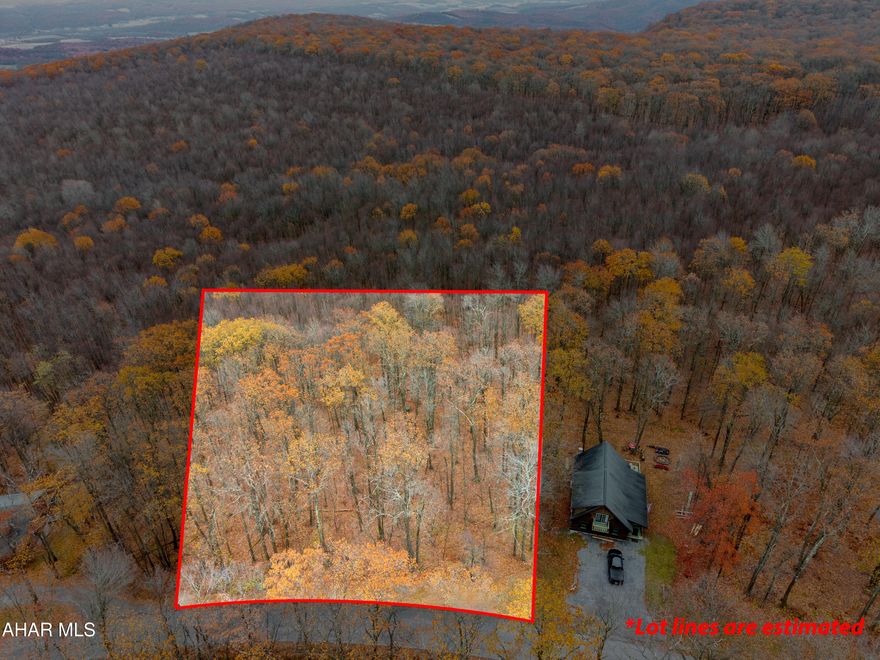 Build your dream mountain getaway on this beautiful vacant lot along Overland Pass, the main road leading to the Blue Knob Clubhouse Bar & Grill and Blue Knob All Seasons Resort. Enjoy the best of four-season living—just minutes from skiing, golfing, hiking, fishing, and hunting. Less then 30 min away from HIstoric Downtown Bedford with small town charm & activities.  Property owners have access to community amenities including outdoor swimming pools, tennis courts, and the golf course.  Connection to water and sewer is available. This property offers the perfect setting surrounded by scenic mountain views and endless recreation opportunities. Don't miss your chance to own land in one of Pennsylvania's most sought-after resort communities!  HOA fee is $125.00 yr unimproved. $450.00 yr Improved.
Lot size to be verified by buyer.