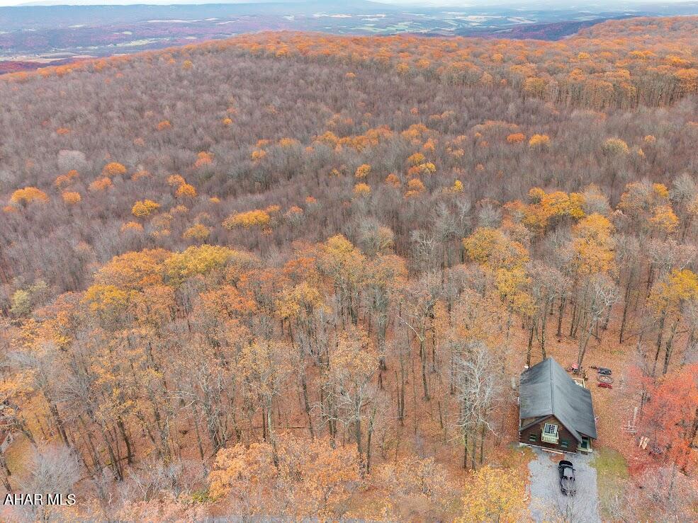 Blue Knob - Commercial Sale