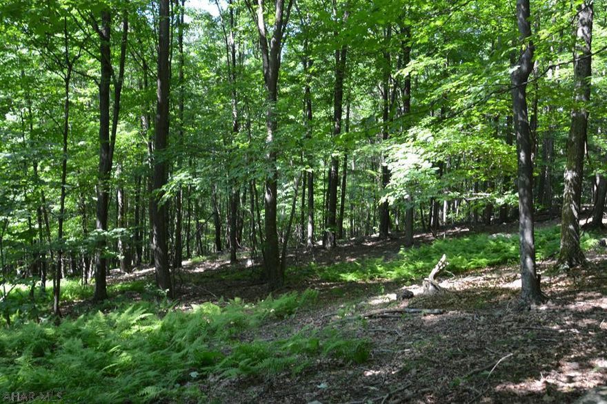 Nice 4 acre parcel of land bordering State Game Lands. Located on a private road, Reported good hunting on property and surrounding area. Would make a nice place to build a hunting cabin or weekend getaway. Deeded R/W to property over Additional adjoining four acres that is for sale. Property is located near the MD/PA line and Rocky Gap Resort.