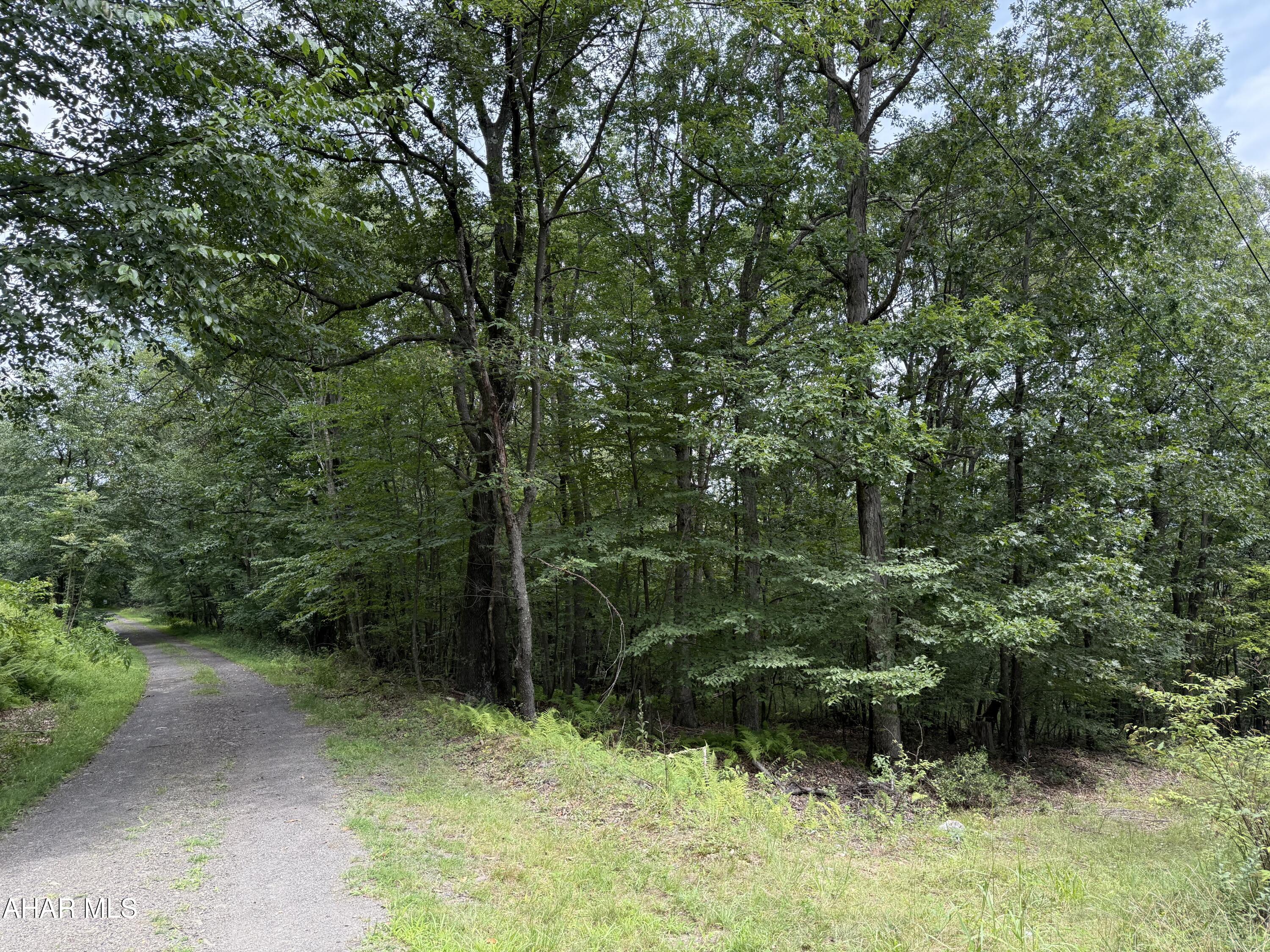 None - Commercial Sale