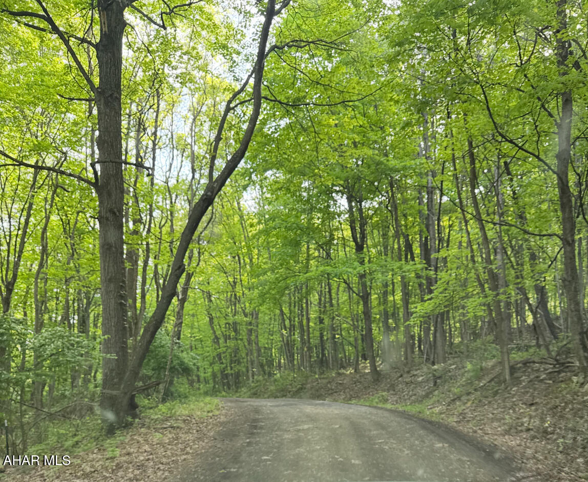 None - Commercial Sale