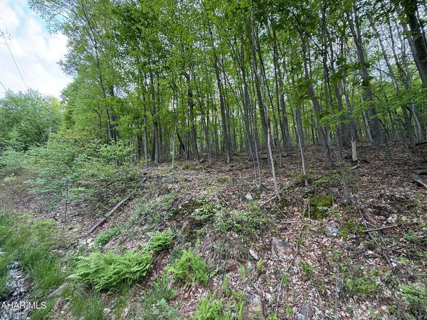 Discover the perfect retreat on this stunning 5.43 acer wooded property.   Close to Lake Gordon and Lake Koon access, the perfect spot for kayaking, canoeing and fishing. Only 15 minutes from Rocky Gap Resort and 25 minutes from The Bedford Springs Resort and Spa and the PA/MD line
This property offers an ideal setting for your getaway cabin or permanent residence.  Electricity already on-site.