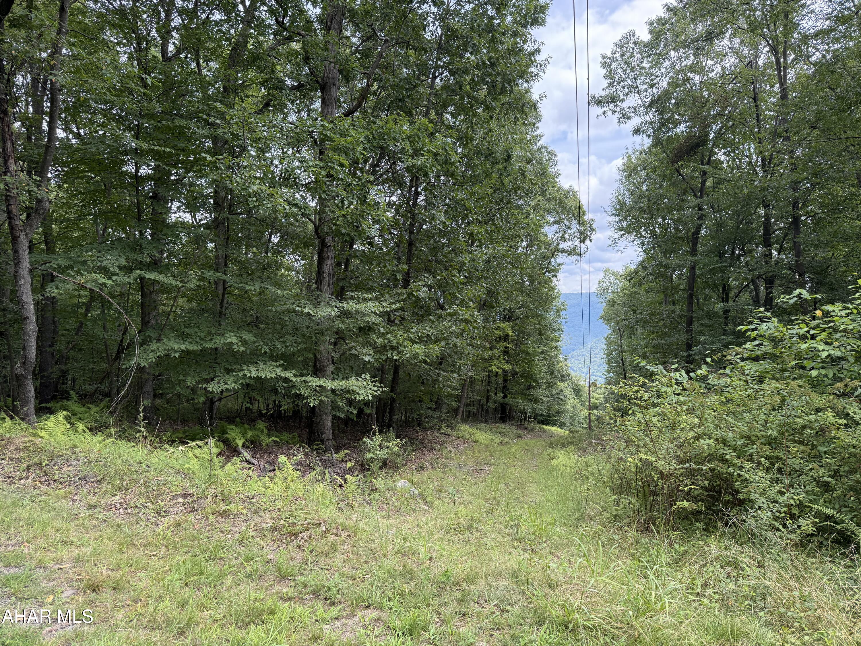 None - Commercial Sale