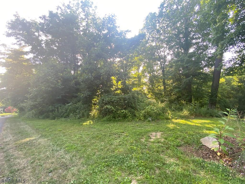 Juniata Mills - Land