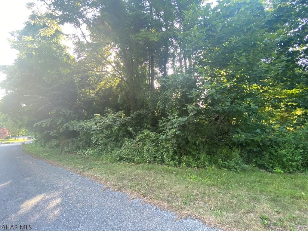 Juniata Mills - Land