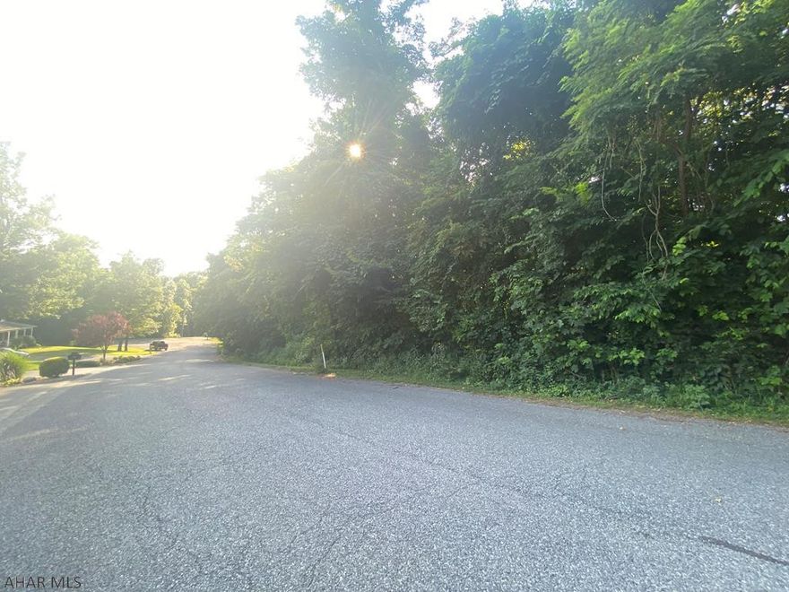 Lot 43 in Juniata Mills, off Mill Ridge Road. A second lot adjoining is available! See separate listing, Lot 42. Over half an acre of beautiful land in a well established Bedford County community. Privacy within a community is the beauty of Juniata Mills! Easy access and ready for your new build. Public sewer and electric are ready to go. These are two of very few remaining lots in Juniata Mills and combined create over an acre of land. Set up your showing today or call listing agent for more information!