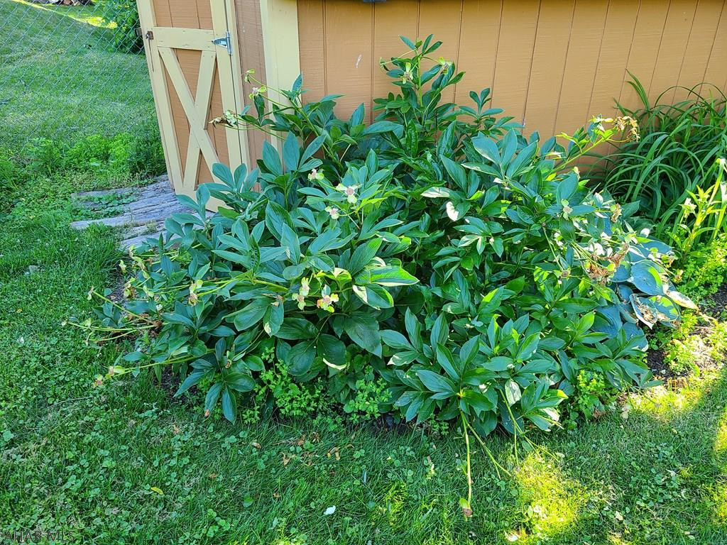 Highland Park - Residential