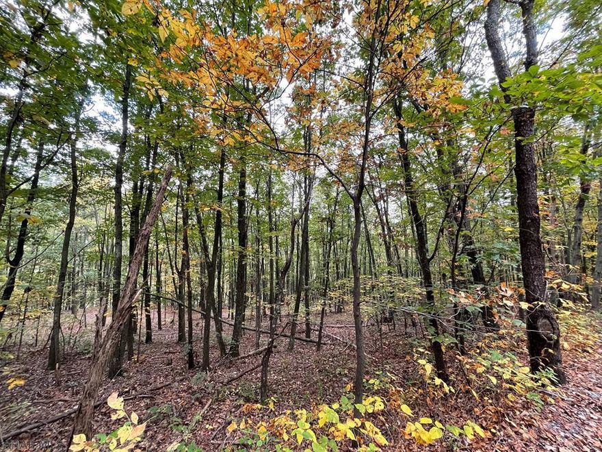 This property offers 4.35 acres of wooded land with dual public road frontage along Clear Ridge and Eshelman Roads. Would make a nice building lot for your new home or weekend getaway. Short drive to downtown Everett and centrally located between Bedford and Breezewood with easy access to major roads. No water, sewer or electric on site at this time. Public Sewer is available according to the municipality but the line would have to be run to Winding Ridge Road for tap and connection.